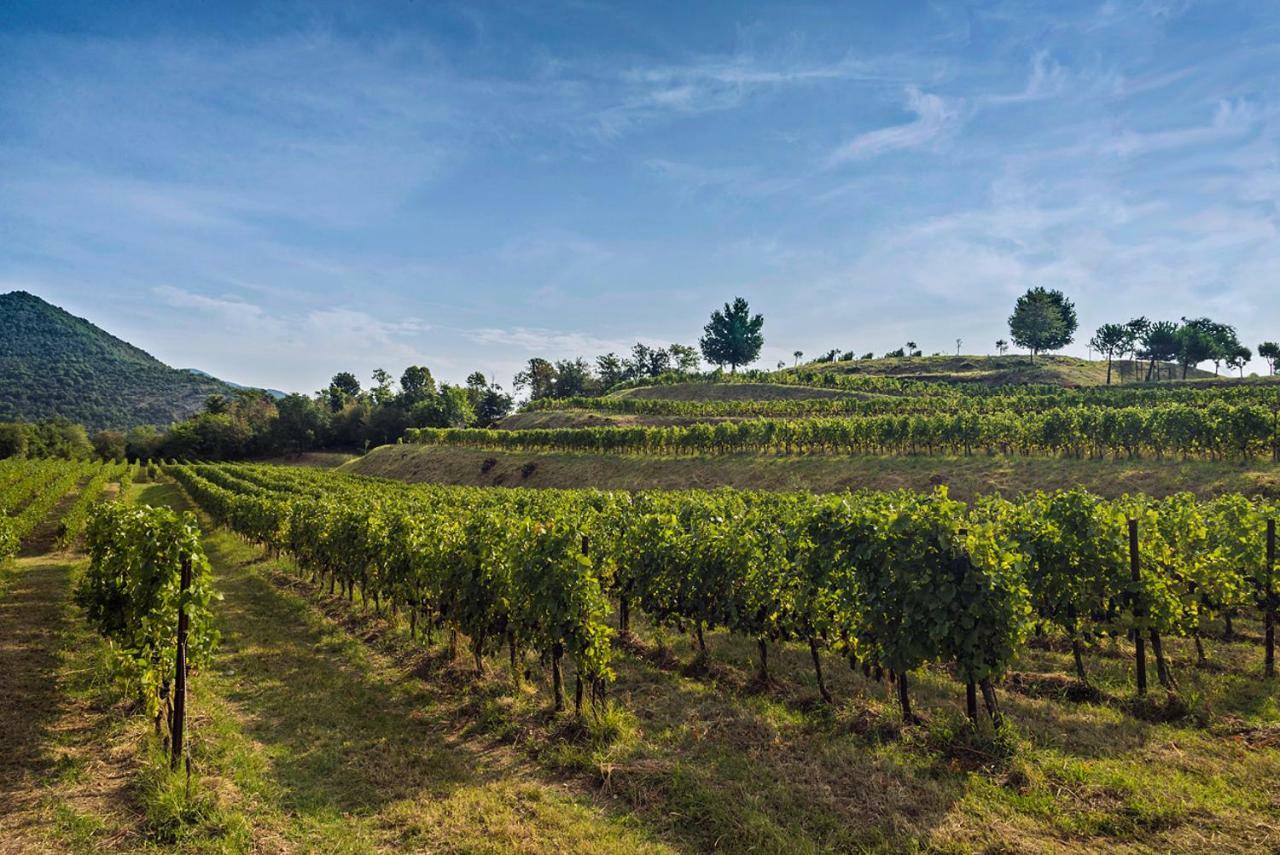 Casa Del Nespolo Bed & Breakfast Pilzone Dış mekan fotoğraf