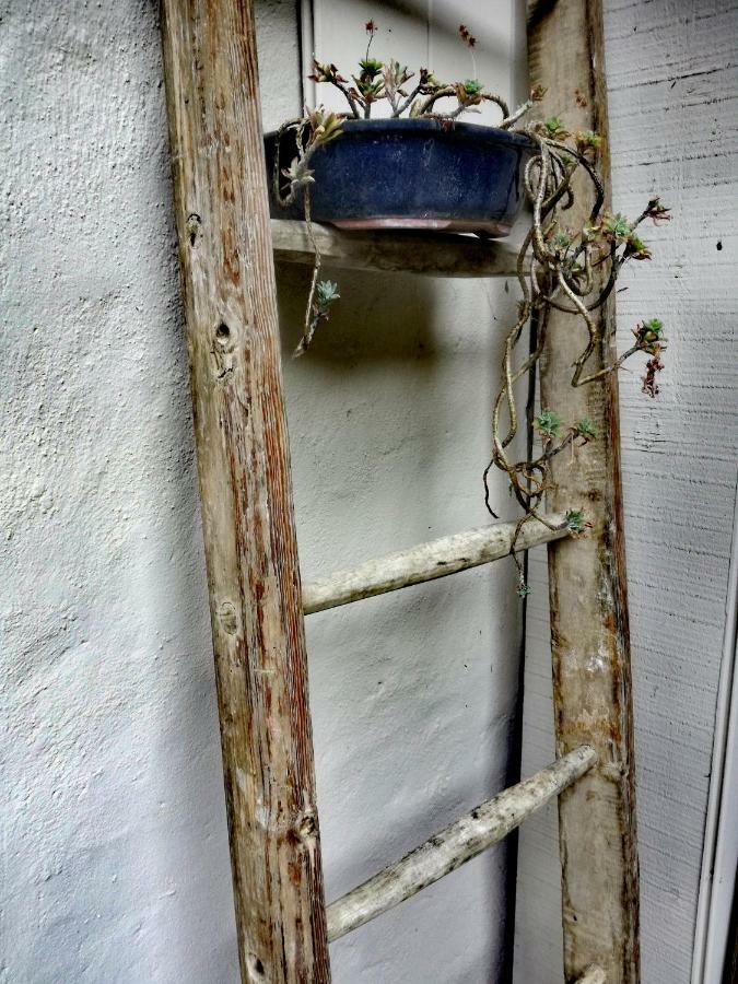 Casa Del Nespolo Bed & Breakfast Pilzone Dış mekan fotoğraf
